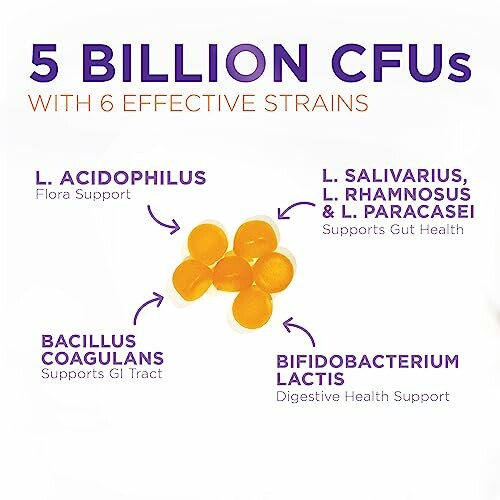 Diagram of probiotic strains with 5 billion CFUs and health benefits.