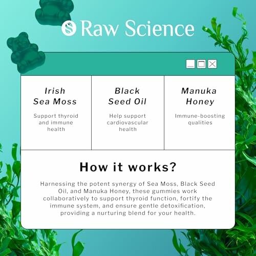 Infographic on benefits of sea moss, black seed oil, and manuka honey gummies.